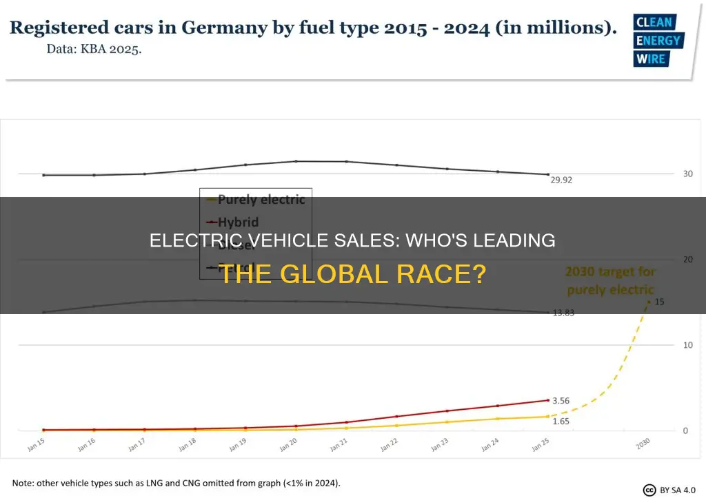 who sold more electric vehicles than anyone