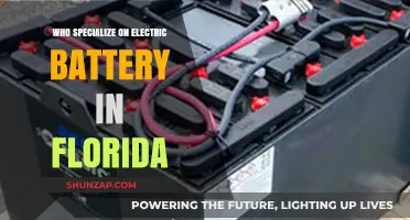 Florida's Electric Battery Experts