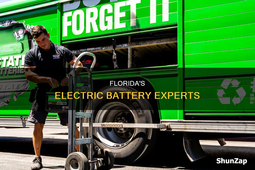 who specialize on electric battery in florida