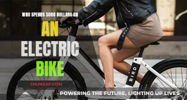 Why You Should Invest in an Electric Bike