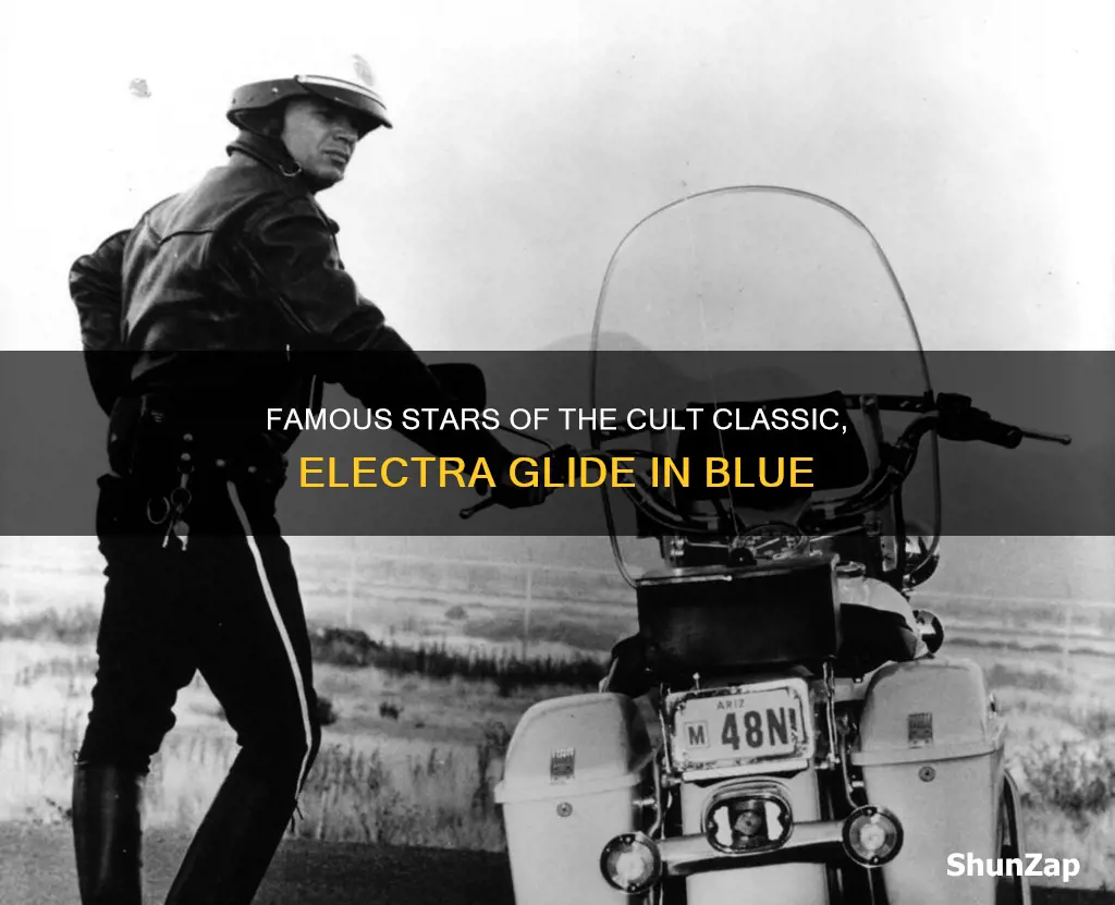who starred in electra glide in blue