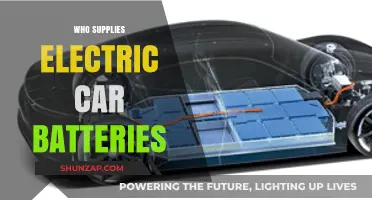 Electric Car Battery Suppliers: Key Players Powering the EV Revolution