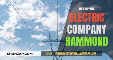 Unveiling the Power Providers: Who Lights Up Hammond?