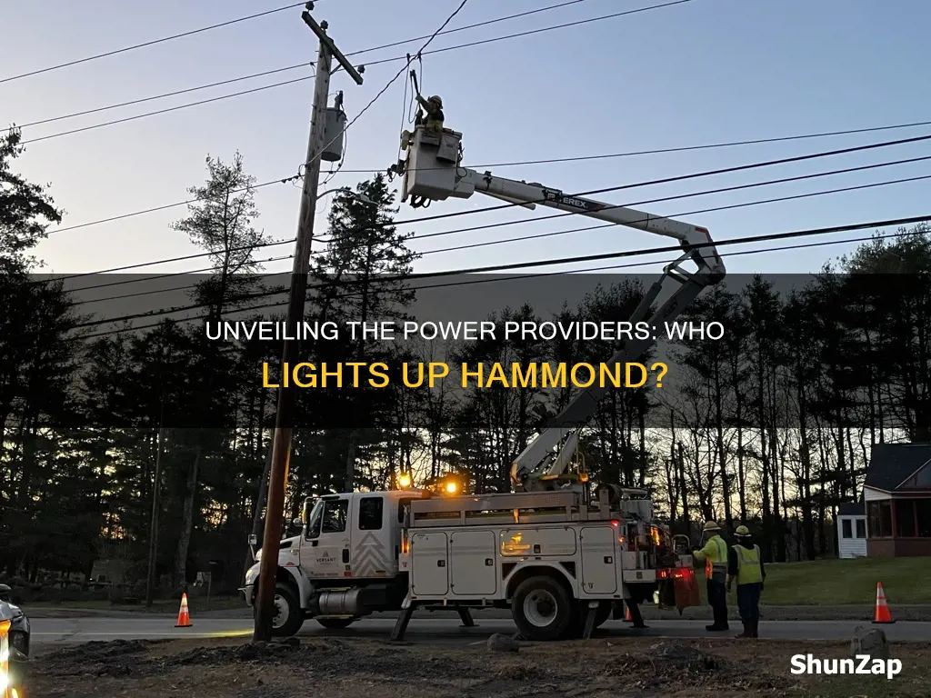 who supplies electric company hammond