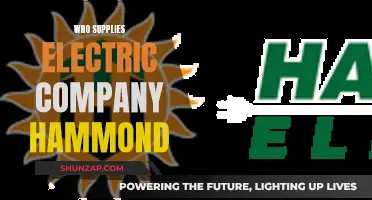 Electric Company Hammond: Who Powers the City's Lights?