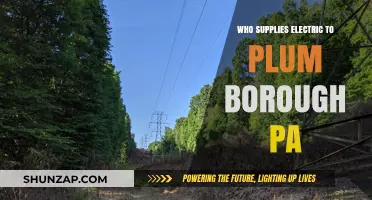 Electric Suppliers for Plum Borough, PA: Who Powers the Community?