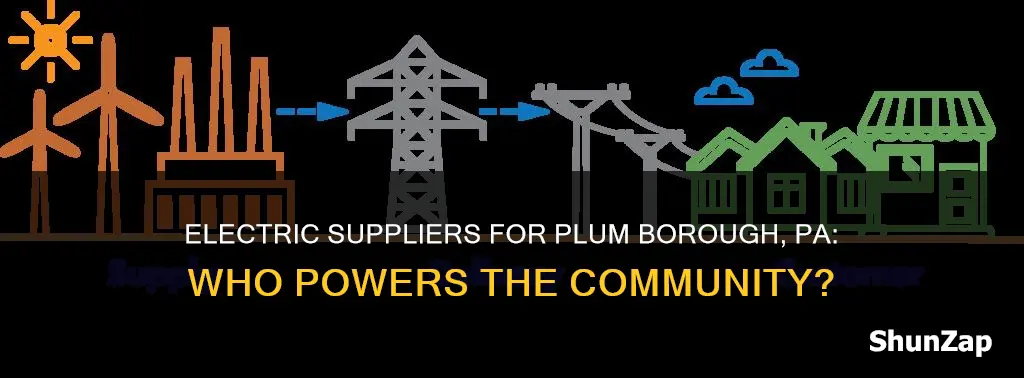 who supplies electric to plum borough pa