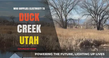 Electricity Suppliers for Duck Creek, Utah: Who Powers the Town?
