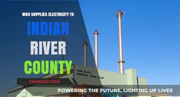 Electricity Suppliers: Indian River County's Power Sources