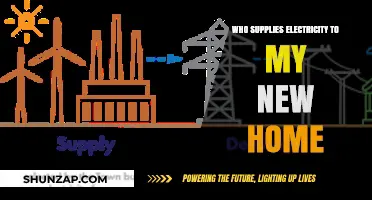 Electricity Suppliers: New Home, New Power Source