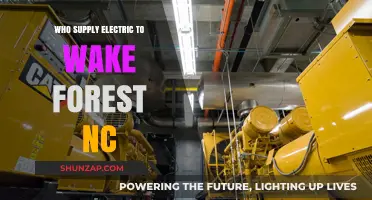 Electricity in Wake Forest: Who Powers the City?