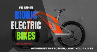 Bionic Electric Bikes: Who's Leading the Charge?