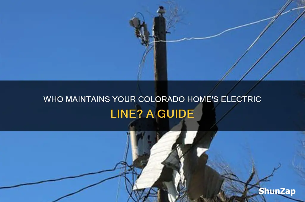 who takes care of electric line to house colorado