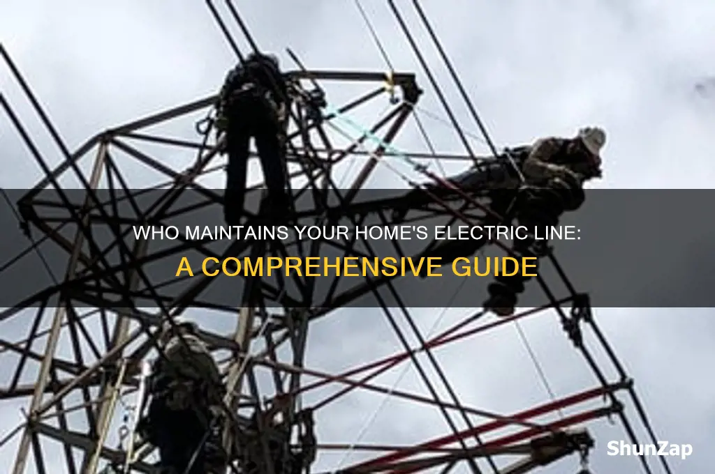 who takes care of electric line to house