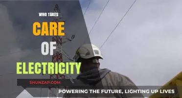 Who Manages Our Power? Exploring Electricity Care and Maintenance