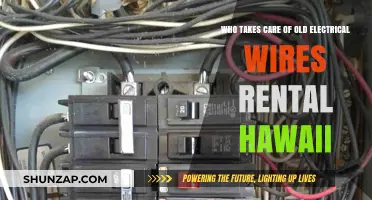 Who Handles Old Electrical Wires in Hawaii Rentals?