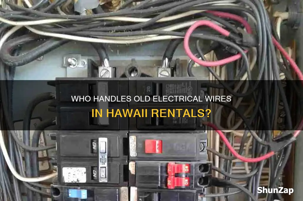 who takes care of old electrical wires rental hawaii