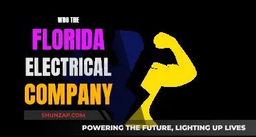 Unveiling the Mystery: Who is Florida Electrical Company?