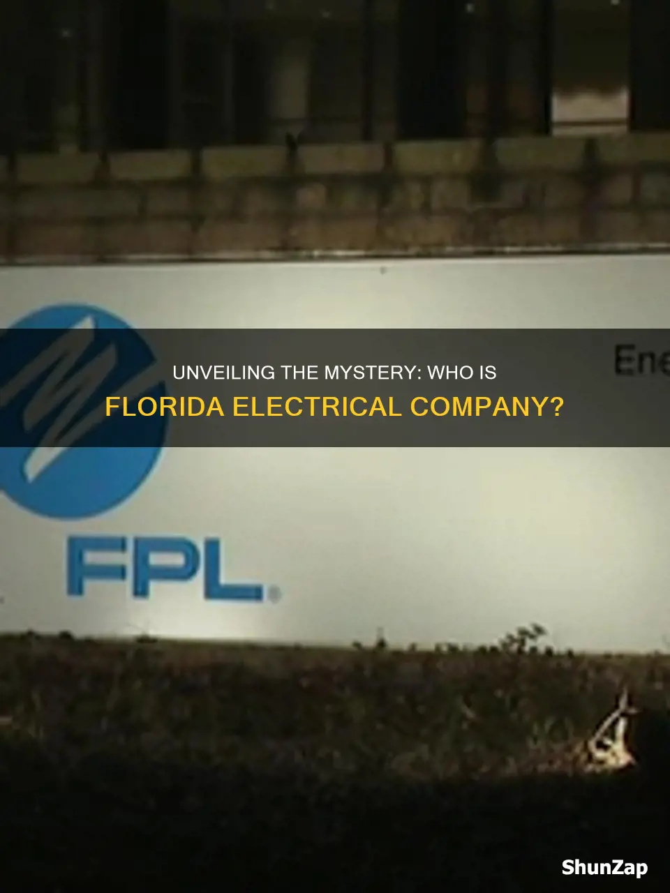 who the florida electrical company