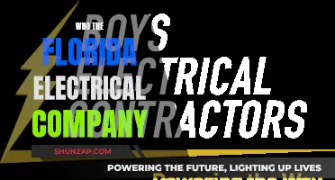 Florida's Electrical Company: Who Are They?