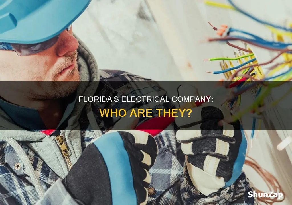 who the florida electrical company