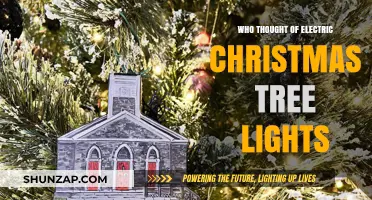 The History of Electric Christmas Tree Lights