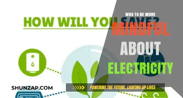 Mindful Electricity Usage: Simple Steps for a Greener Future