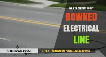 Electrical Emergency: Who to Call for Downed Power Lines