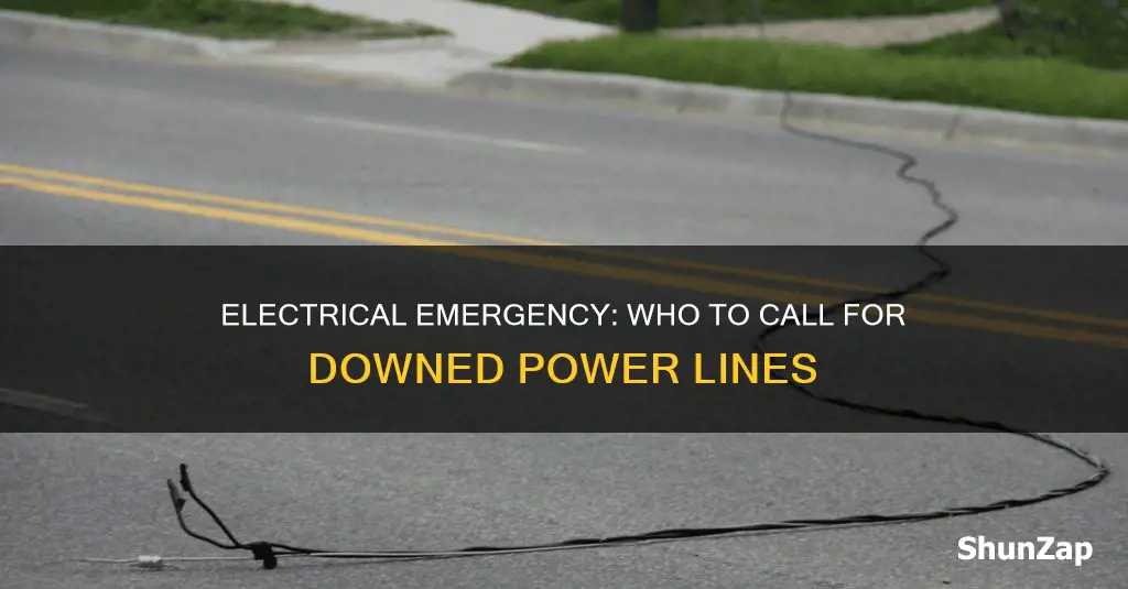 who to contact about downed electrical line