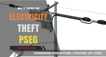 Electricity Theft: Report to PSEG Immediately