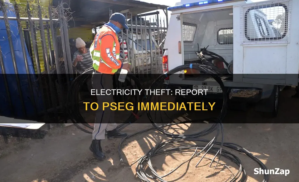 who to contact for electricity theft pseg