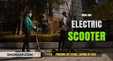 Who Uses Electric Scooters? Exploring the Diverse Rider Community