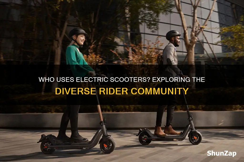 who use electric scooter