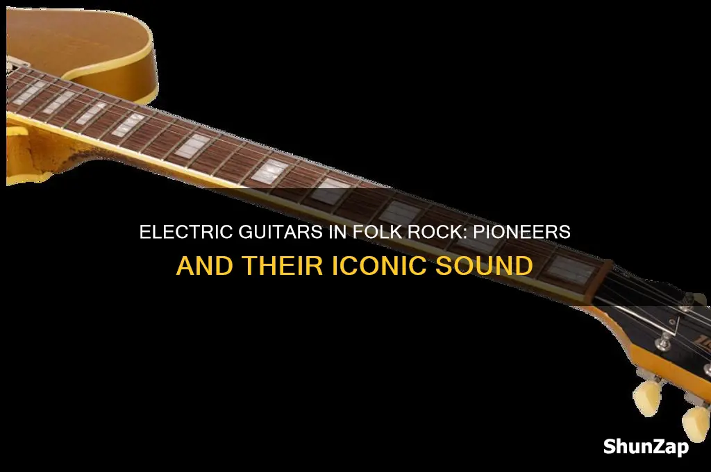 who used electric guitars for folk rock