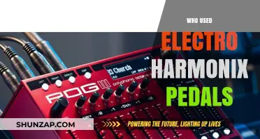Iconic Musicians Who Used Electro-Harmonix Pedals for Legendary Sounds