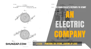 How Tesla's Patents Sparked the Birth of an Electric Giant