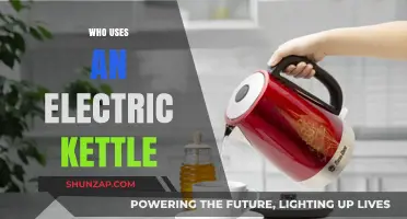 Who Uses Electric Kettles? Exploring Users and Their Brewing Habits