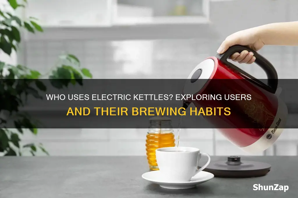 who uses an electric kettle