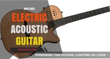 Who Uses Electric Acoustic Guitars? Exploring Diverse Players and Genres