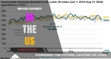 Who Powers America? Exploring Electricity Usage Across the US