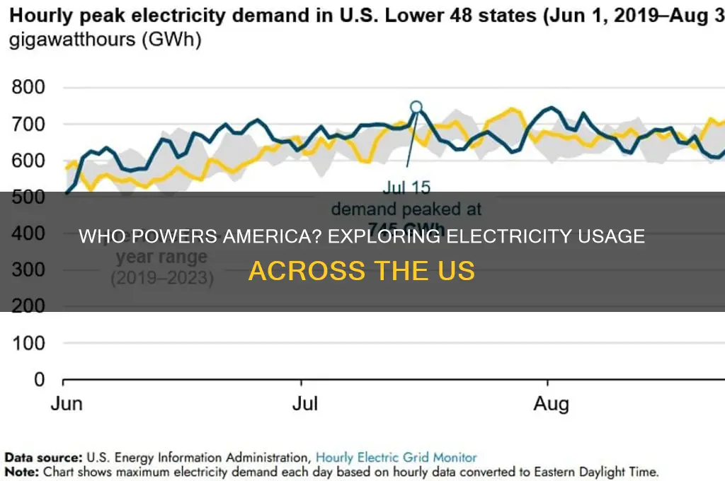 who uses electricity in the us