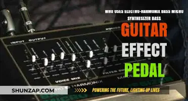Who Uses the Electro-Harmonix Bass Micro Synthesizer Pedal?