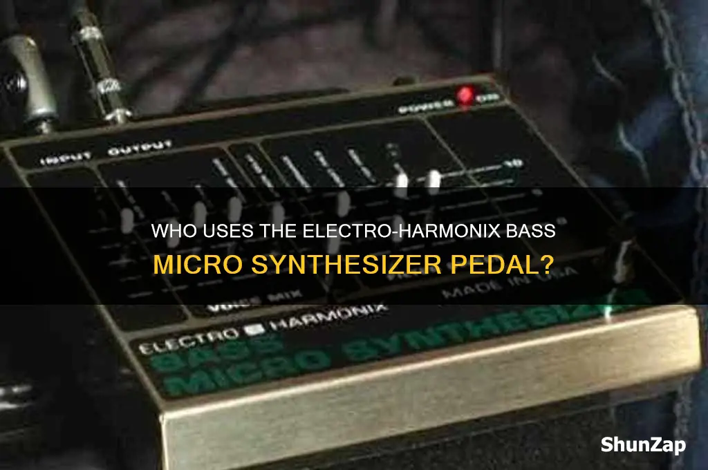 who uses electro-harmonix bass micro synthesizer bass guitar effect pedal