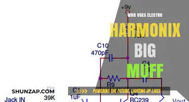 Iconic Artists Who Use the Electro-Harmonix Big Muff Pedal