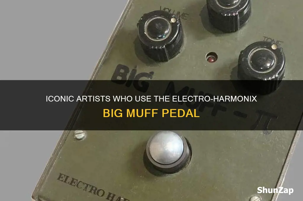 who uses electro harmonix big muff