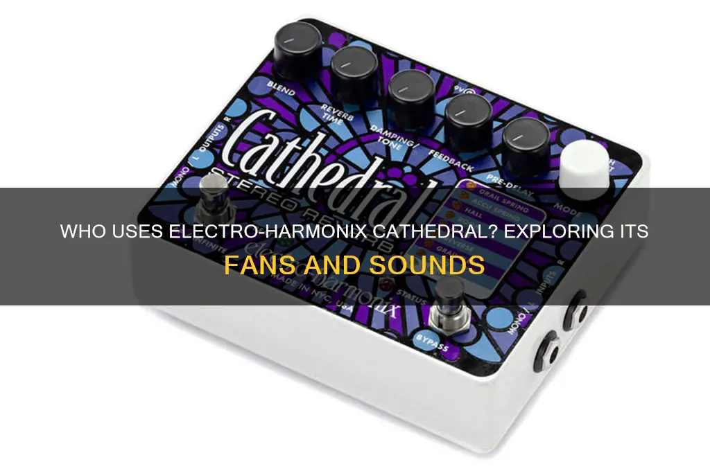 who uses electro-harmonix cathedral
