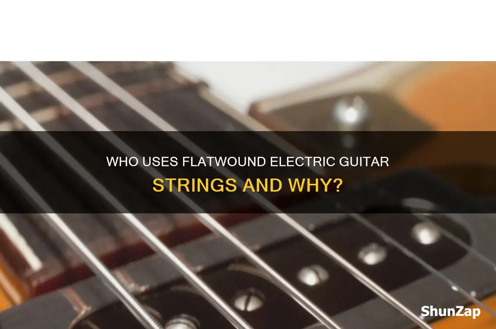 who uses flatwound electric guitar strings