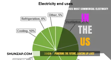 Top US Commercial Electricity Consumers: Industries Leading Energy Usage