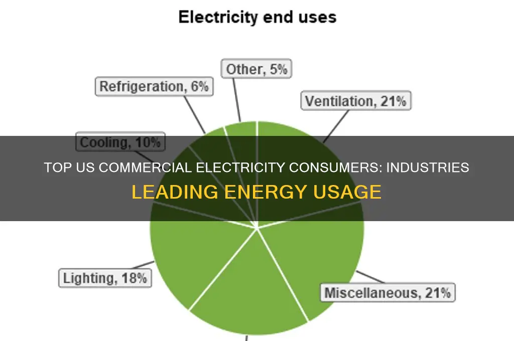 who uses most commercial electricity in the us