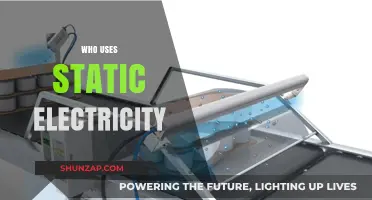 Who Uses Static Electricity? Surprising Applications in Everyday Life